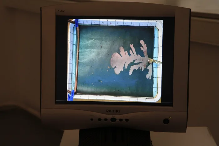 Leon Ploszczanski, 1 hour galvanic growth condensed to 1 minute, 2011. Photo © Sabina Teichert