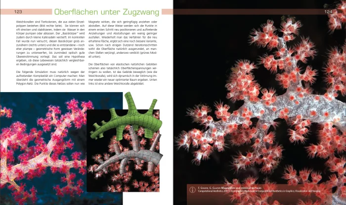 Preview aus "Wie das Zebra zu seinen Streifen kam", Spektrum Akademischer Verlag, Publikation in Vorbereitung © Georg Glaeser
