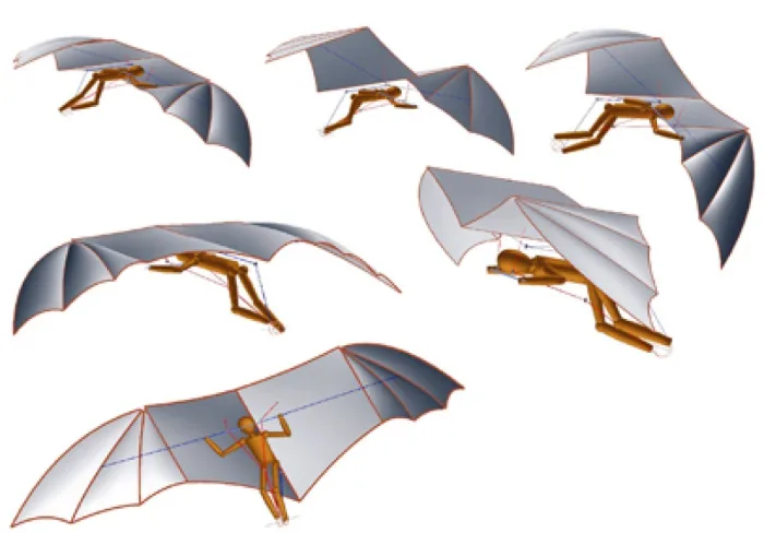 Flugsimulation © Georg Glaeser