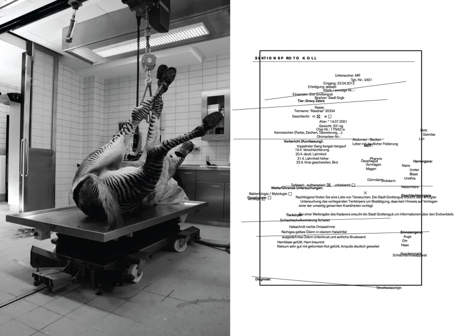 Moritz Resl, Polytrauma, 2012