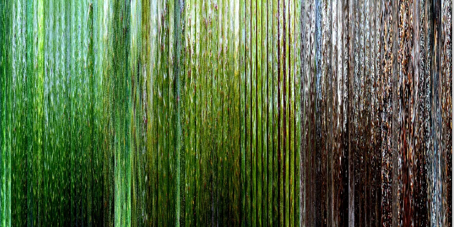 Processing