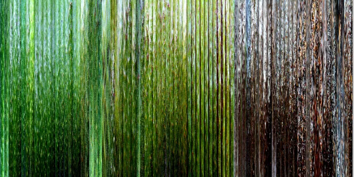 Processing