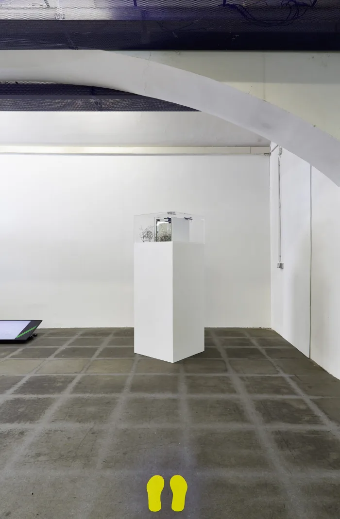 Reality