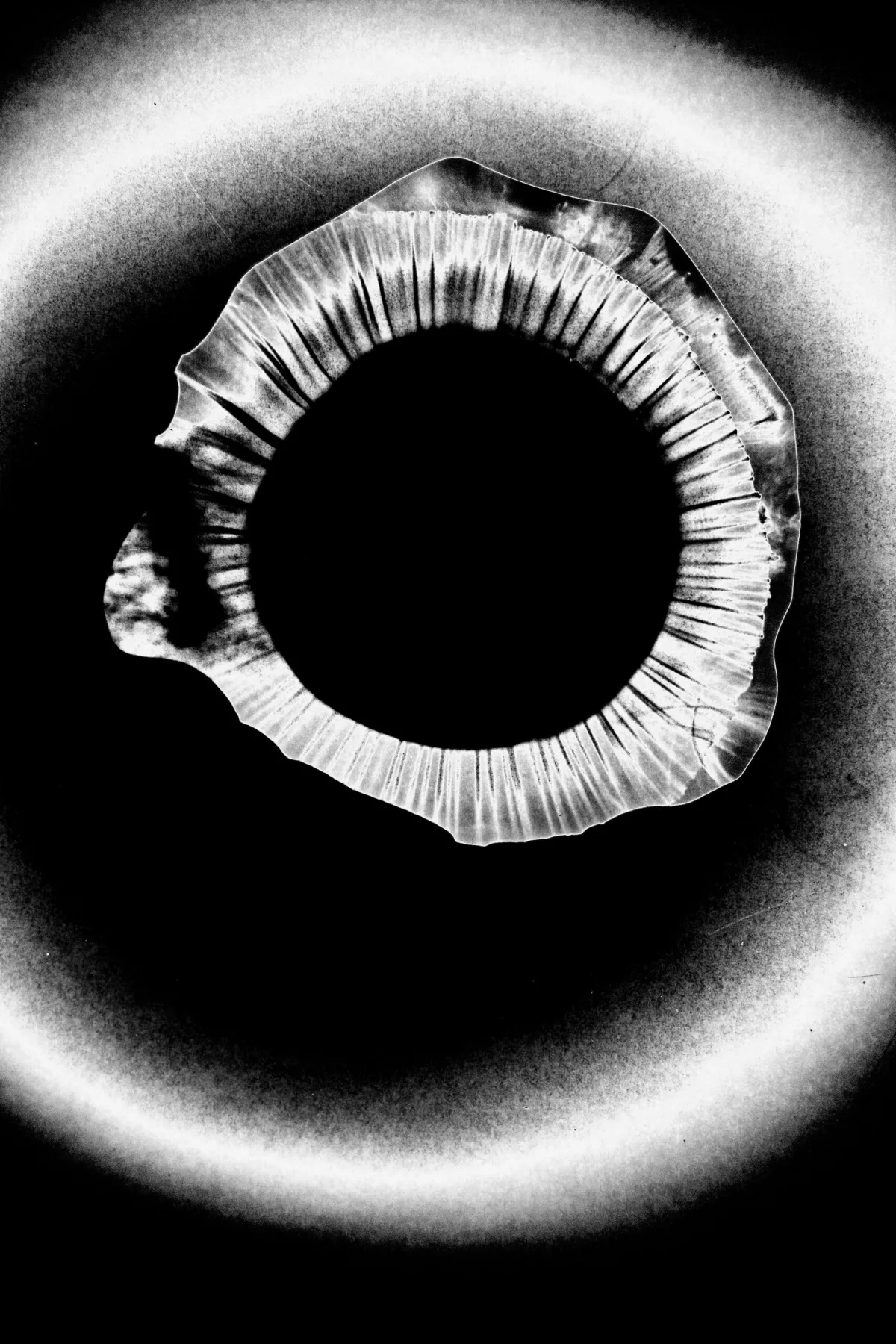Refractive Perspectives | 3*10^8 m/s