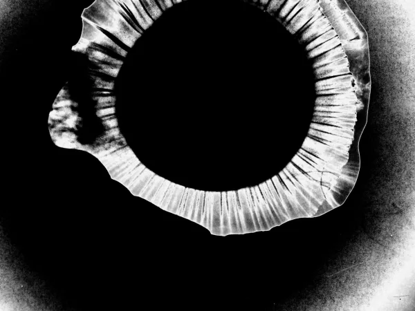 Refractive Perspectives | 3*10^8 m/s