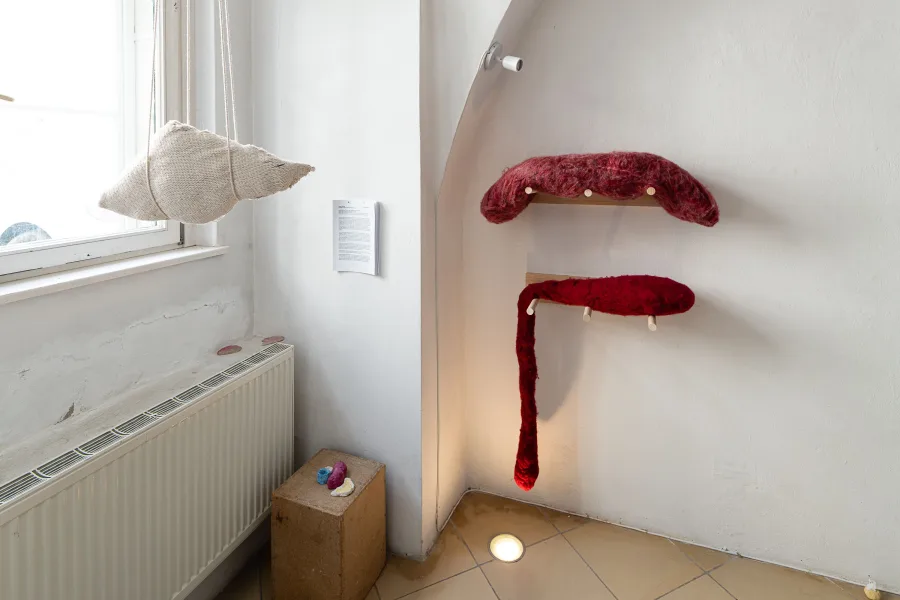 remember you have a body, remember you live in a city Exhibitions are Not Books: viewing and making as an A/R/Tographer