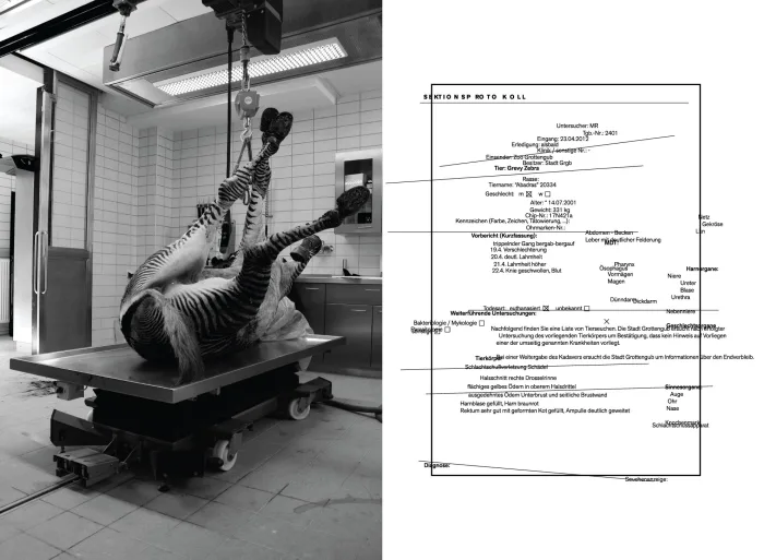 Moritz Resl, Polytrauma, 2012