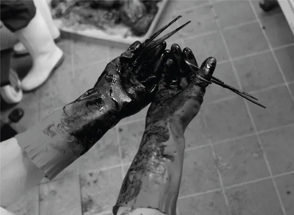 Moritz Resl, Polytrauma, 2012