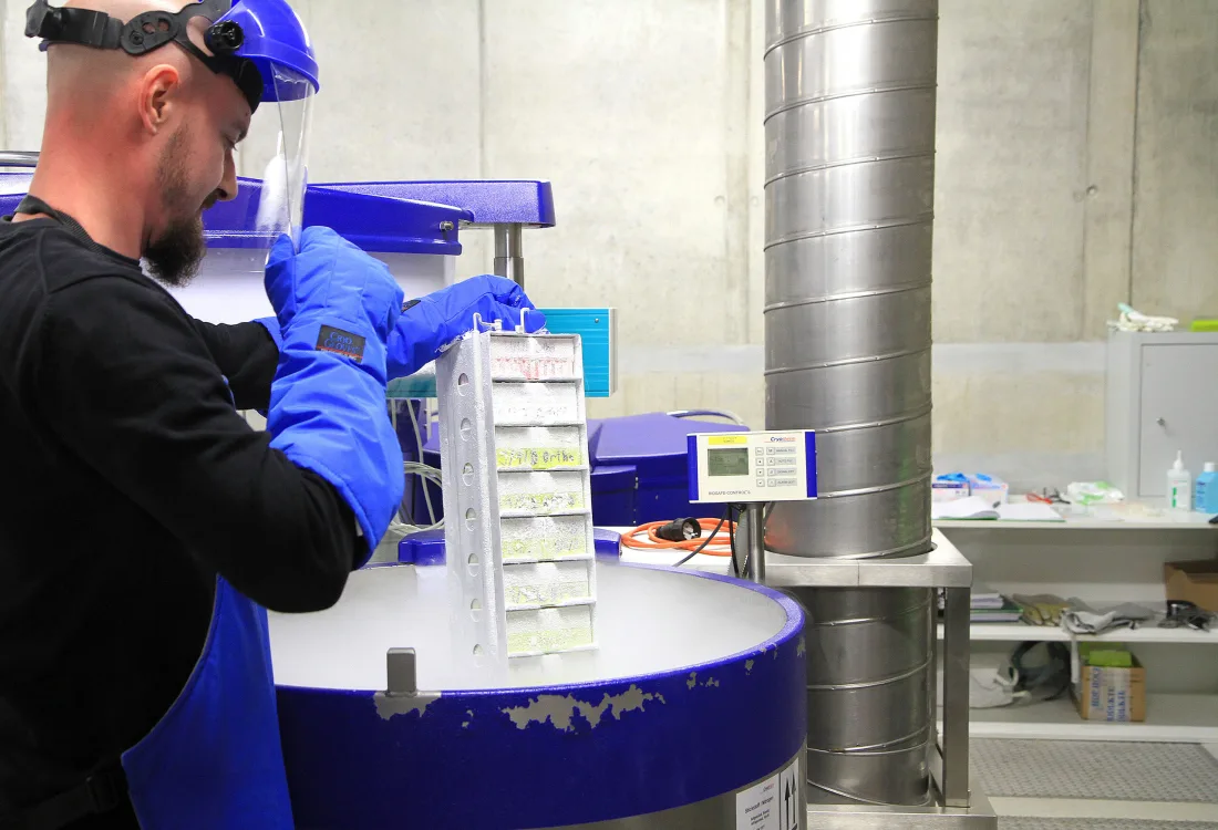 ROUNDTABLE – Excursion to Biobank Graz