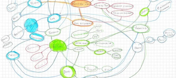 Semantic and cognitive graph based on IST visit