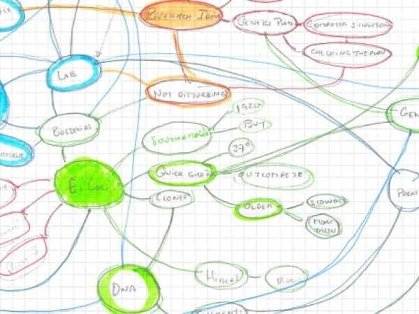 Semantic and cognitive graph based on IST visit