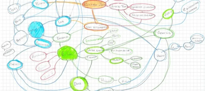 Semantic and cognitive graph based on IST visit