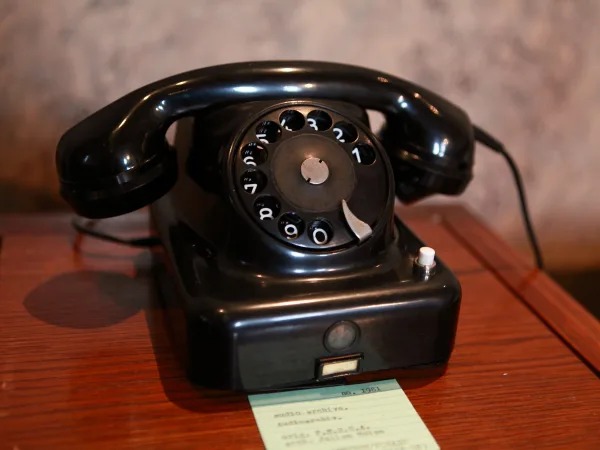 Sound of extinct and / or endangered Species of technology, 2011