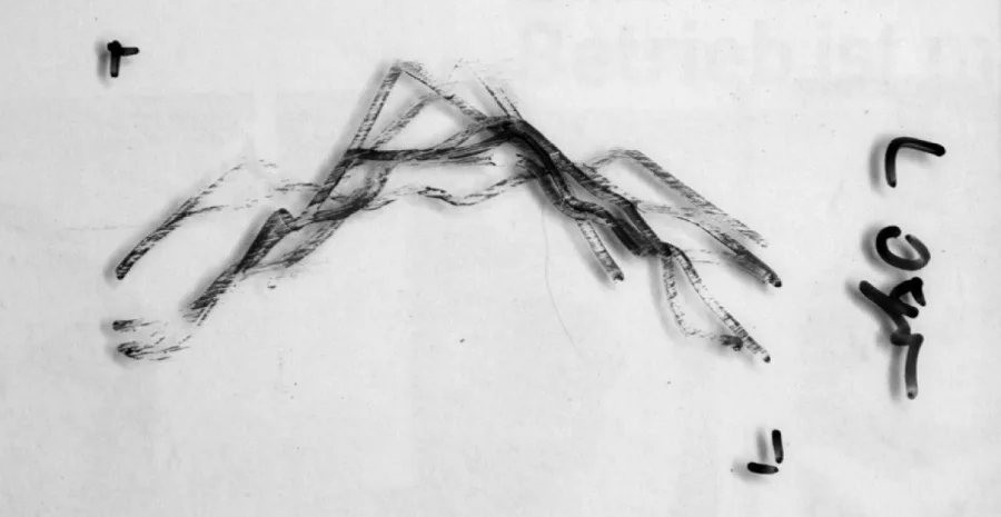 Richard Schwarz, strichweise, 2011. Photo © Sabina Teichert