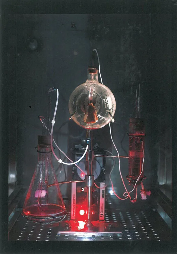 SymbiothicA as an artistic laboratory: A lecture by Oron Catts, University of Western Australia