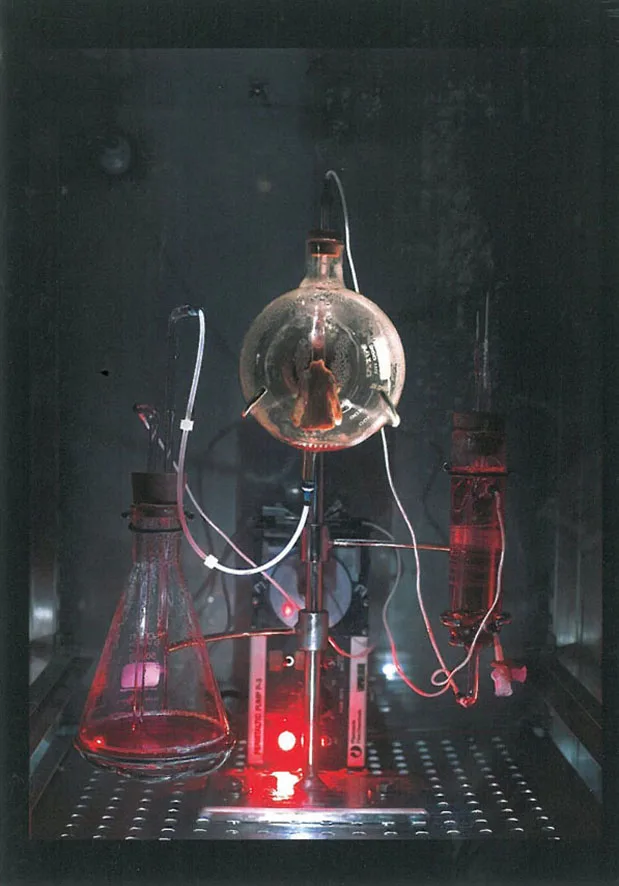 Victimless Leather, A Prototype of Stich-less Jacket grown in a technoscientific \"Body\" (2004) The Tissue Culture & Art Project. Photo © Oron Catts & Ionat Zurr