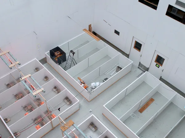 Taxidermy and experiments’ set up