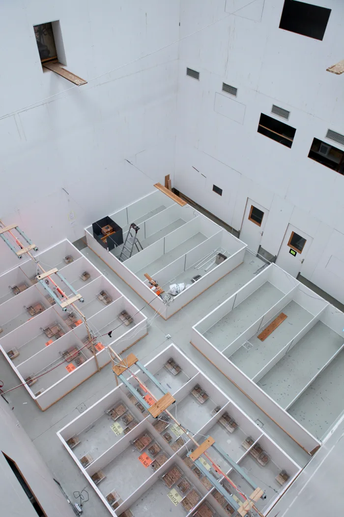 Taxidermy and experiments’ set up