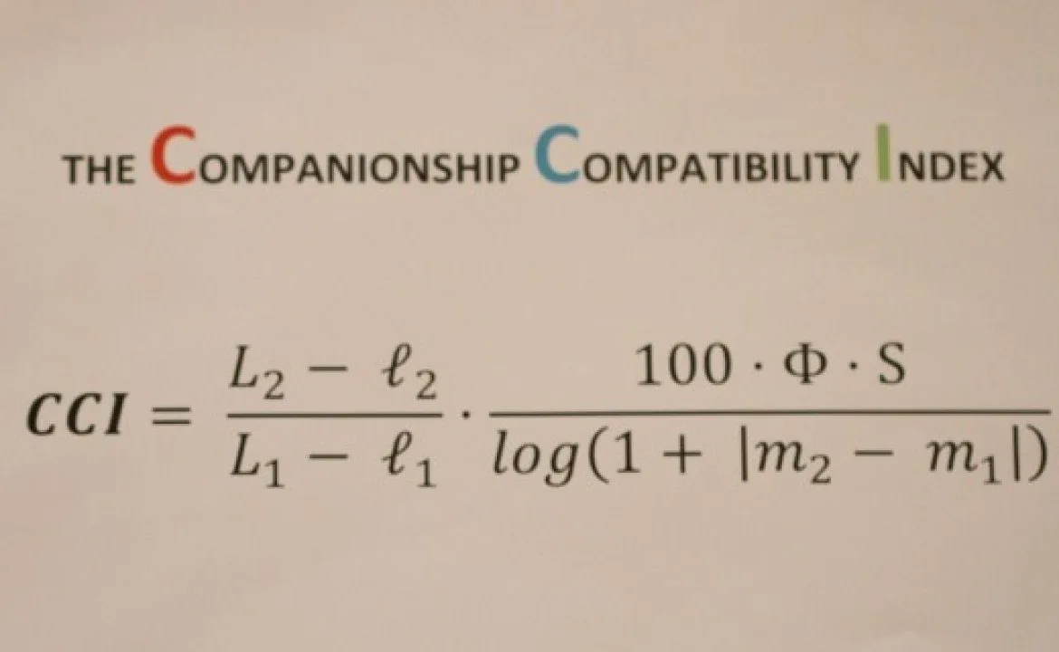 The Companionship Compatibility Index