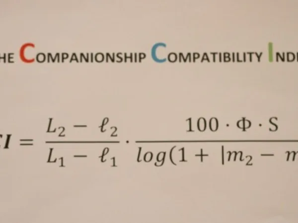 The Companionship Compatibility Index