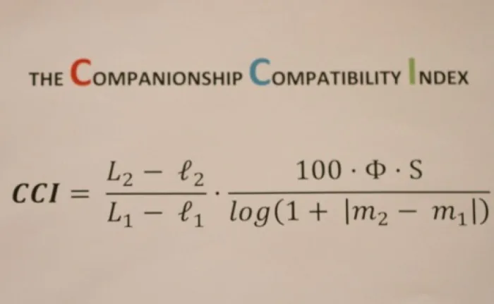 The Companionship Compatibility Index