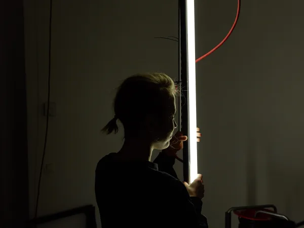 The “Elektra” Case Files