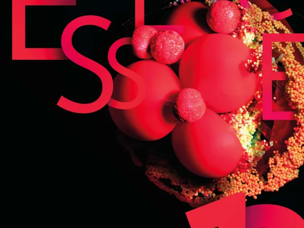 The Essence 12