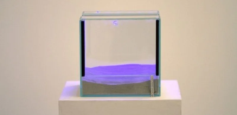 Isidora Krstic, The Exoticiser, 2013