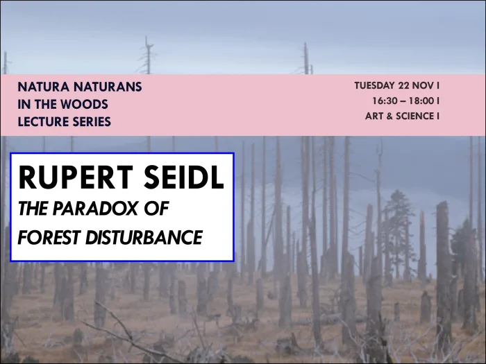 The Paradox of Forest Disturbance