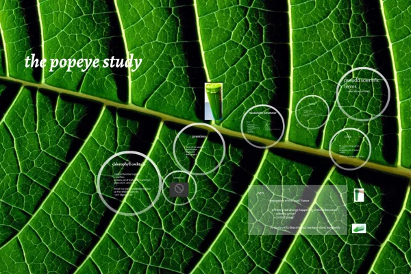 The Popey Study