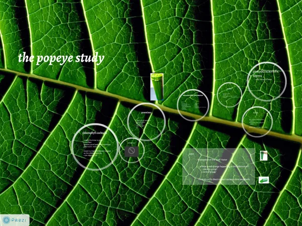 The Popey Study