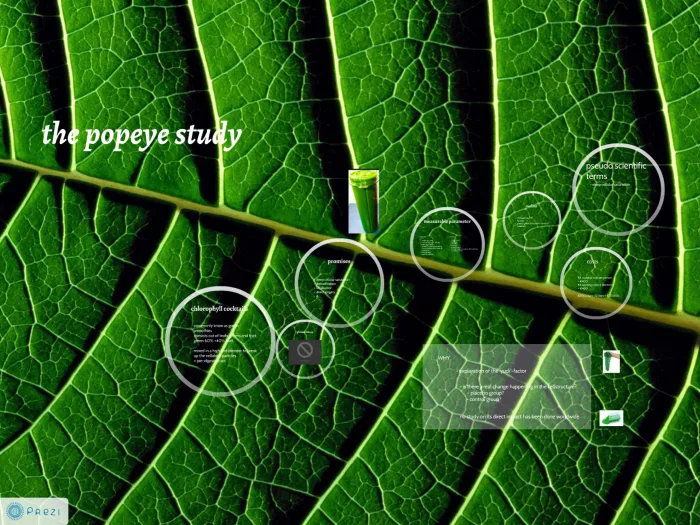 The Popey Study