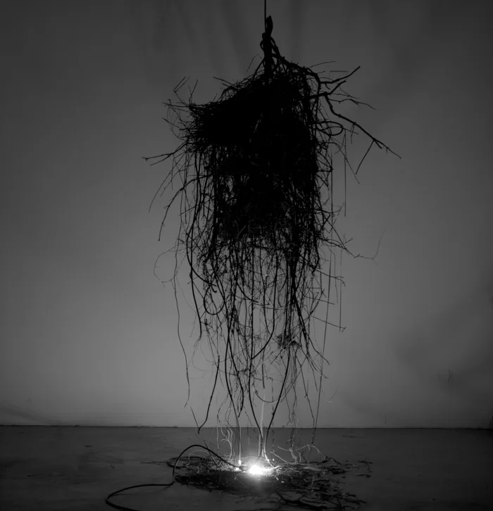 The Totem