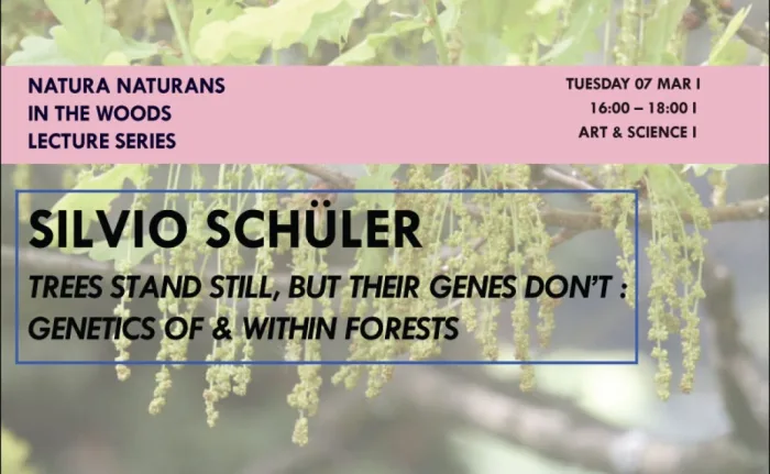 Trees stand still, but their genes don’t: Genetics of & within forests