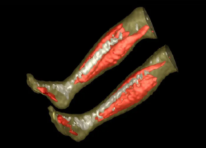 Molecular Imaging, running. Photo © Manabu Tashiro