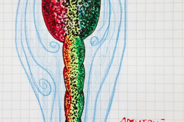 Vocabulum Transnaturae