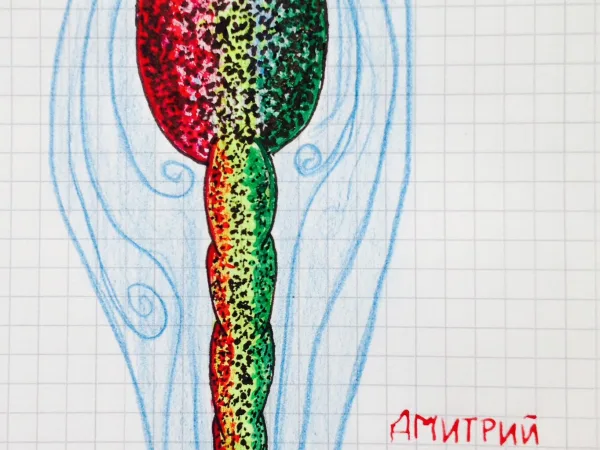 Vocabulum Transnaturae