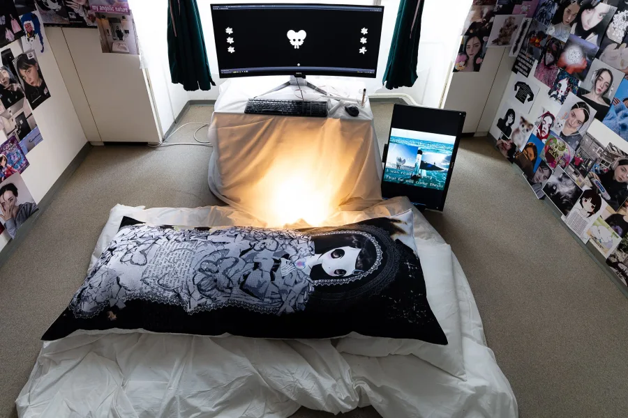 ｡ ﾟ•┈୨♡୧┈• ﾟ｡ Welcome to My Page, I Hope You Have Fun: Being a Girl Online ‧₊˚✩彡