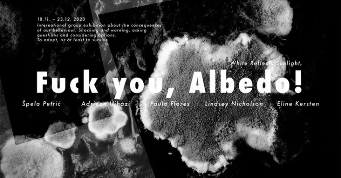 White reflects sunlight - Fuck you albedo!