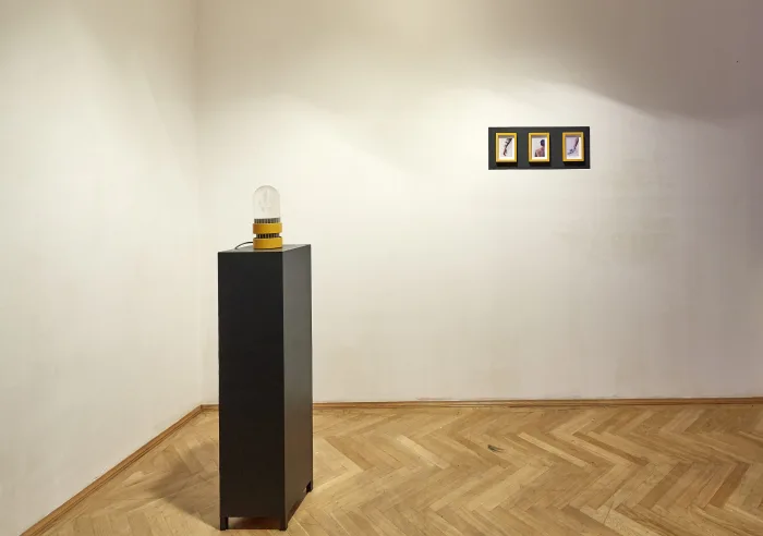Capsule and Pictures. Photo © Peter Kainz