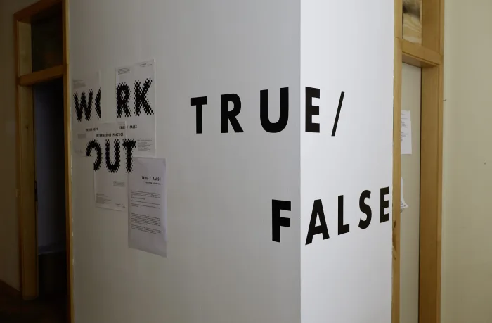 WORK OUT #2: True/False – The Path in Between