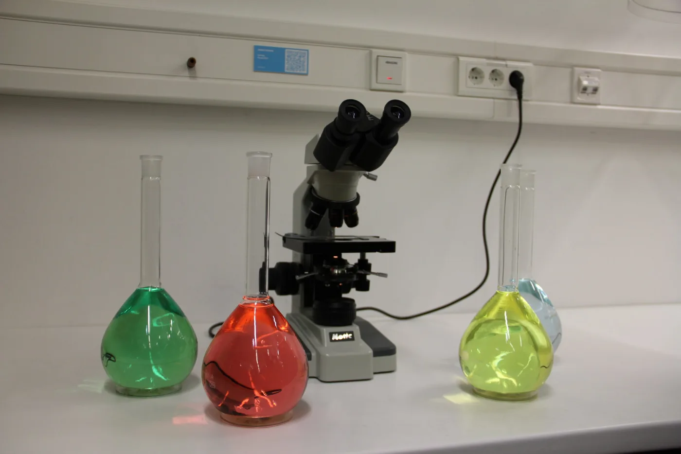 Zendegi