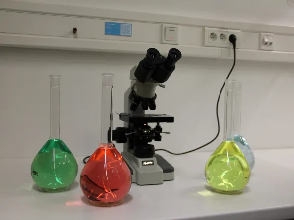 Zendegi